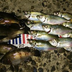 流れの中の変化